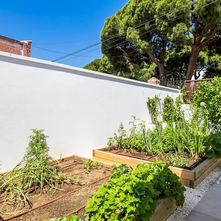 Holiday home Casa Palmeras Marbella