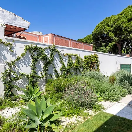 Holiday home Casa Palmeras *